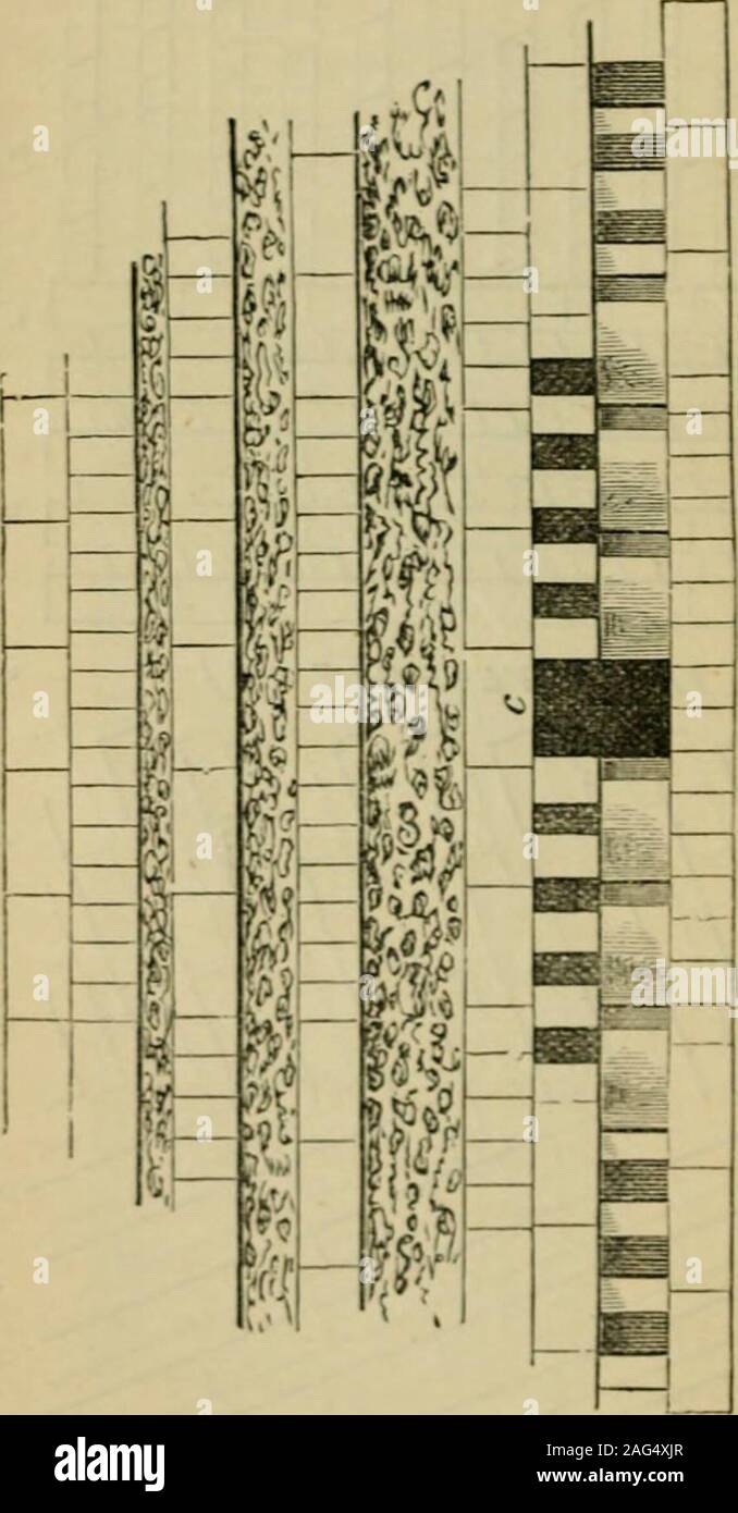 Clamp bricks hires stock photography and images Alamy