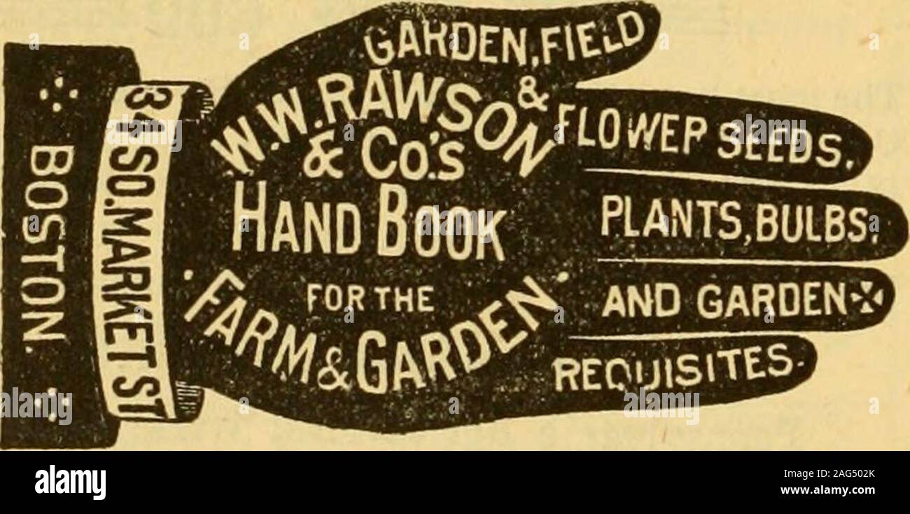 The Gardener S Monthly And Horticulturist As A 24 Page Illustrated Monthly Magazine Of Popularscience A Prominent