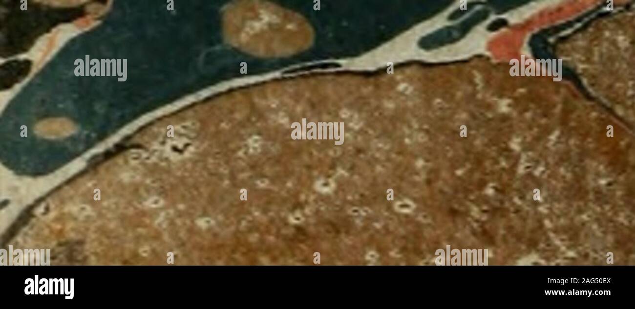 Yo Yo Li High Resolution Stock Photography And Images Alamy