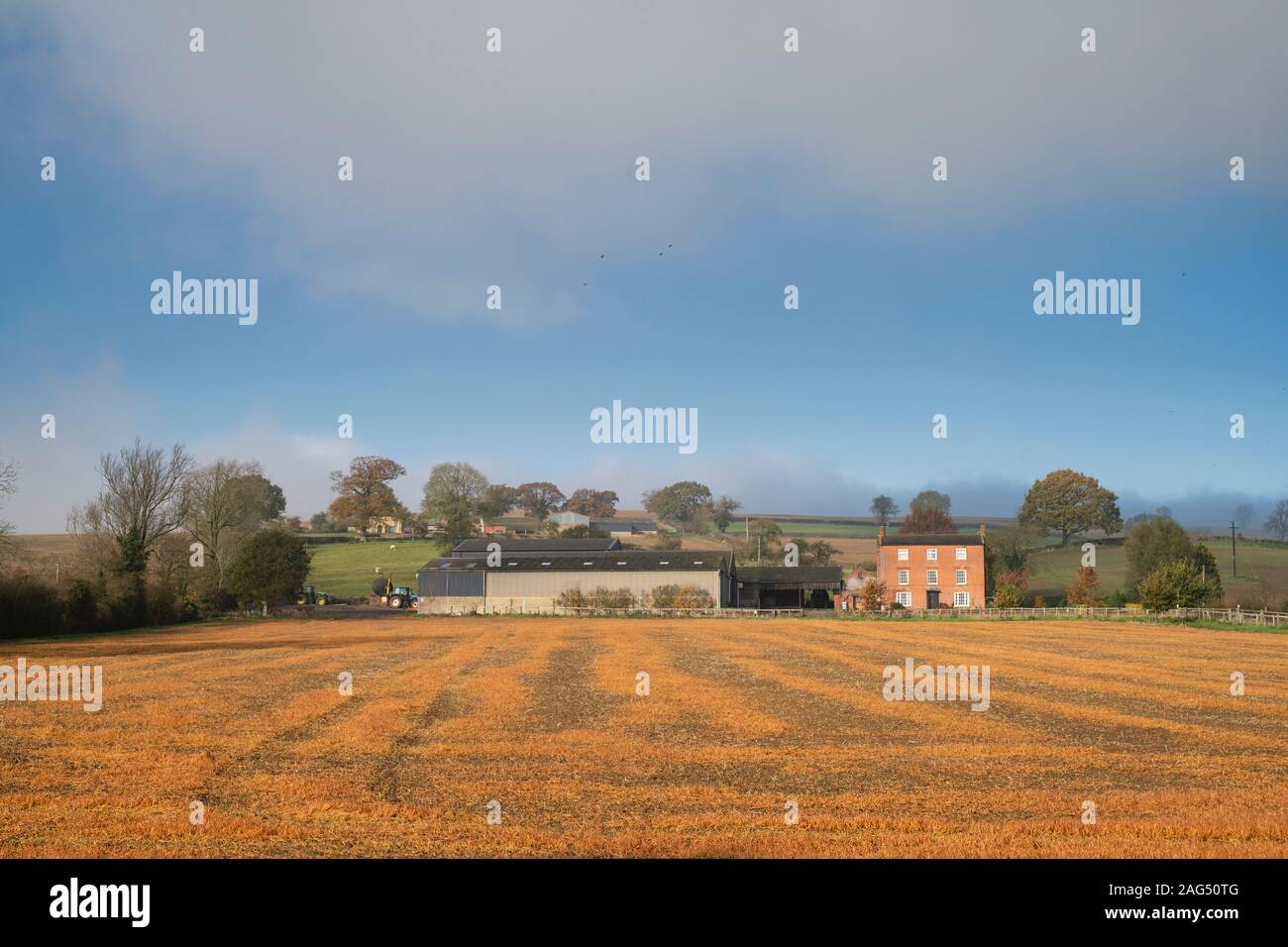 Farm in the Warwickshire countryside in autumn. Near Brailes, Warwickshire, England Stock Photo