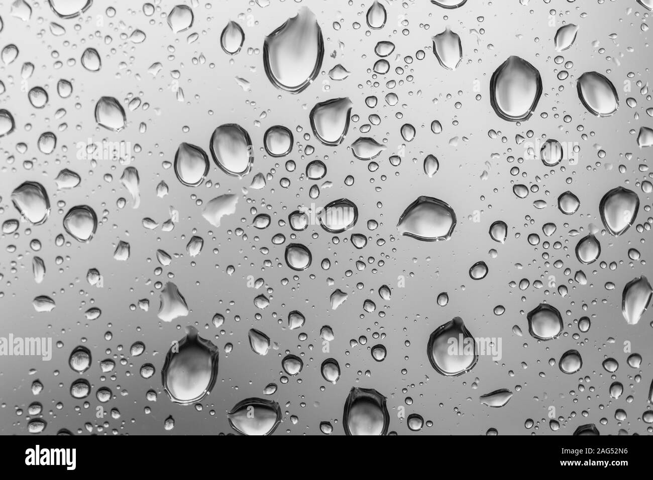 Water drops on glass window white background after the rain in the autumn fall. Stock Photo