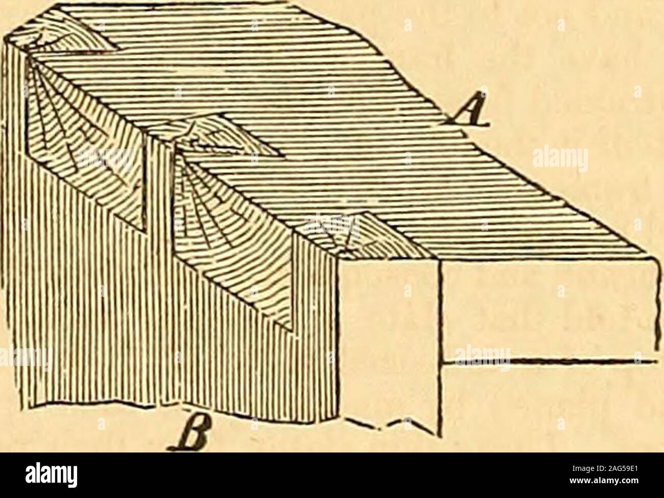 . Appleton's dictionary of machines, mechanics, enginework, and