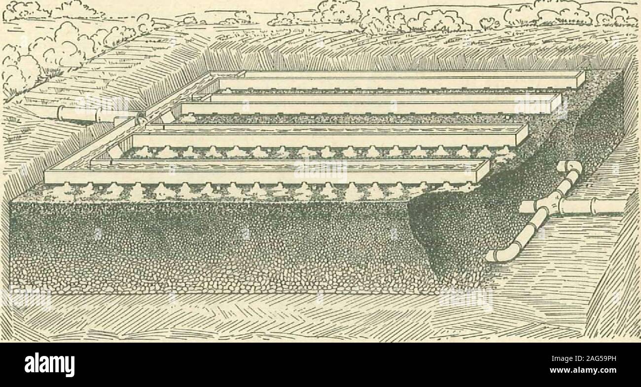 . Instructions for installing modern plumbing systems. Figure lo. Distributing ditches for drainage troughs, as shown in Figure 16, or may beconducted through 3 or 4-inch field tile. Thetroughs are made of lx4-inch lumber, withopenings % inch high by 1 inch long cut intothe sides on a level with the bottom. Theseopenings should he from 8 to 12 inches apartand should alternate on the two sides of thetrough. The troughs should be pitched about2 inches per 100 feet. At the head of each 4r&gt; - =—r. Figure 10, Filter bed disposal of drainage , The filter bed should be located where afall of at l Stock Photo