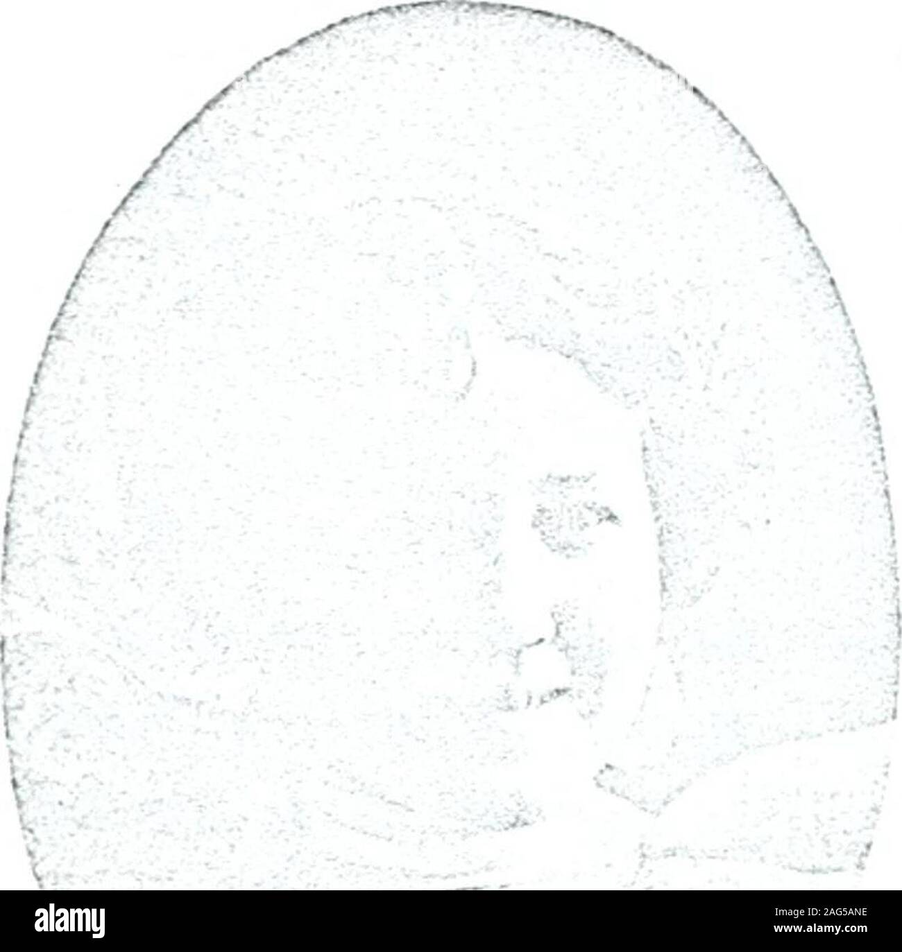 Miss mcdonald hires stock photography and images Alamy