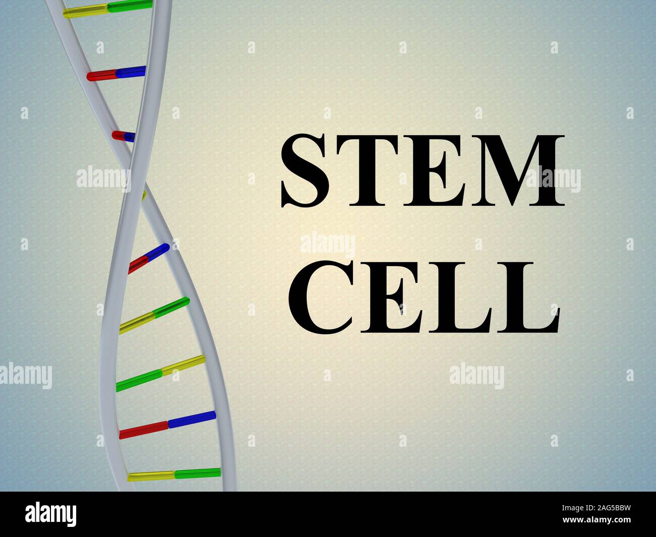 3D illustration of STEM CELL script with DNA double helix , isolated on ...