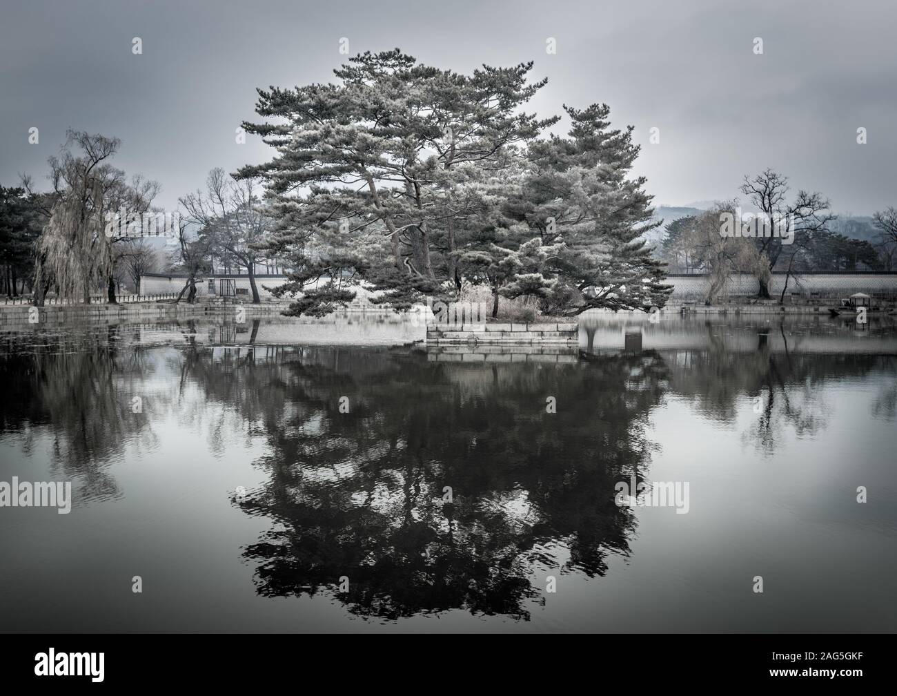 Gray scale shot of the reflection of beautiful trees in a lake under ...