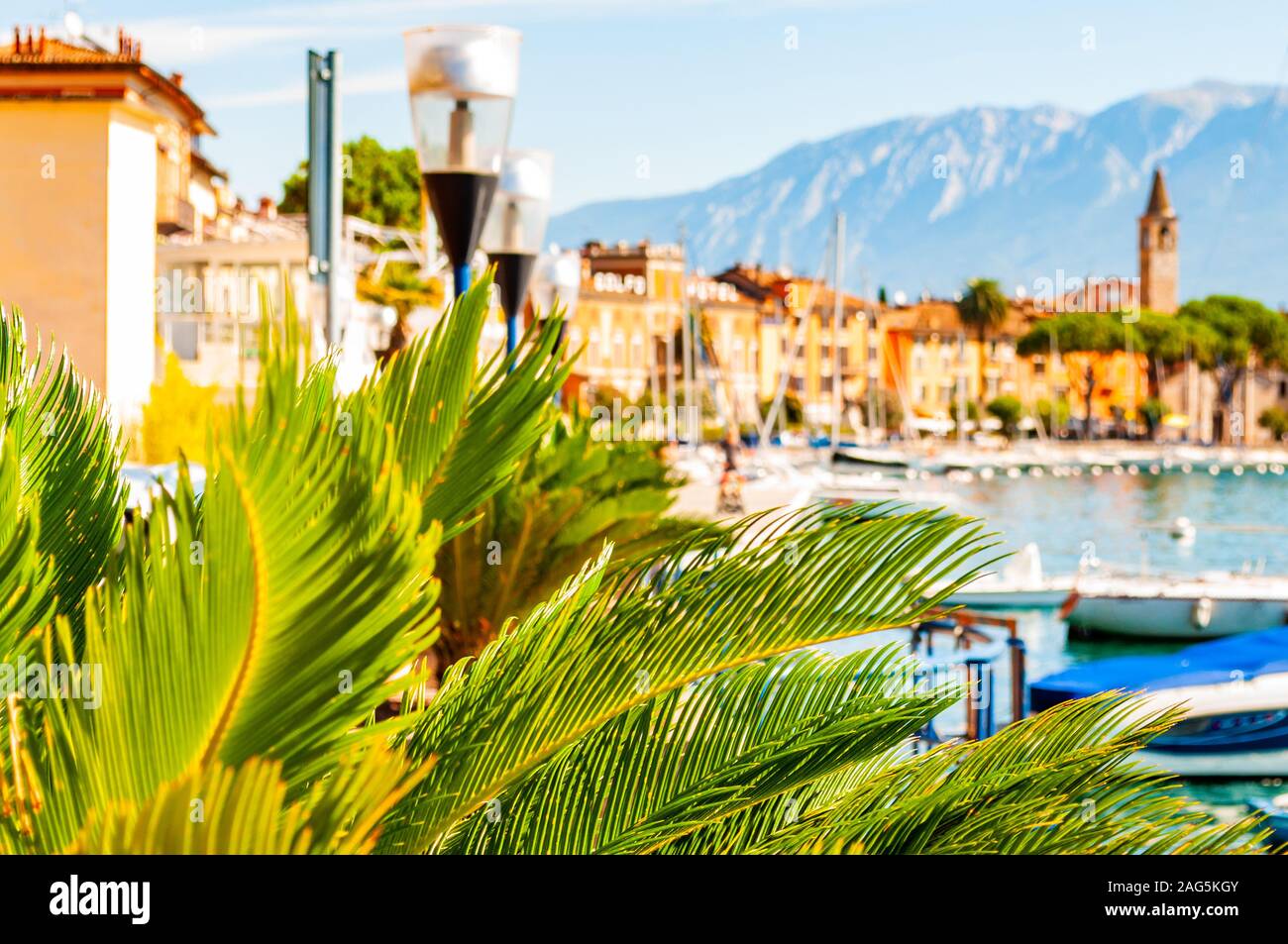 Garda lake western shore, Lombardy Italy. View on medieval Toscolano Maderno cityscape through palm leaves growing on promenade and piers with parked Stock Photo