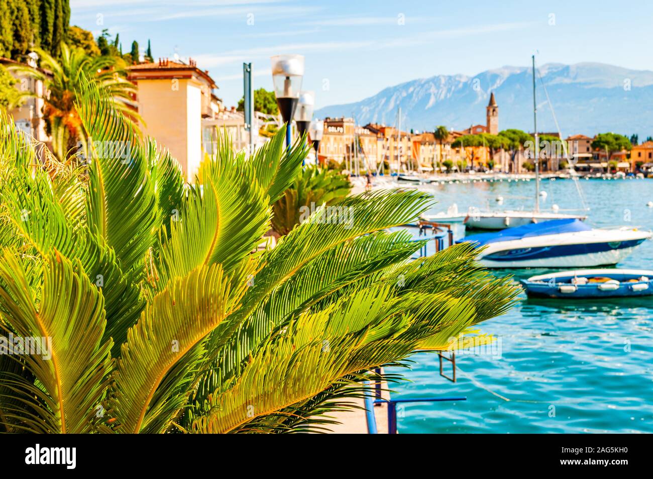 Garda lake western shore, Lombardy Italy. View on medieval Toscolano Maderno cityscape through palm leaves growing on promenade and piers with parked Stock Photo
