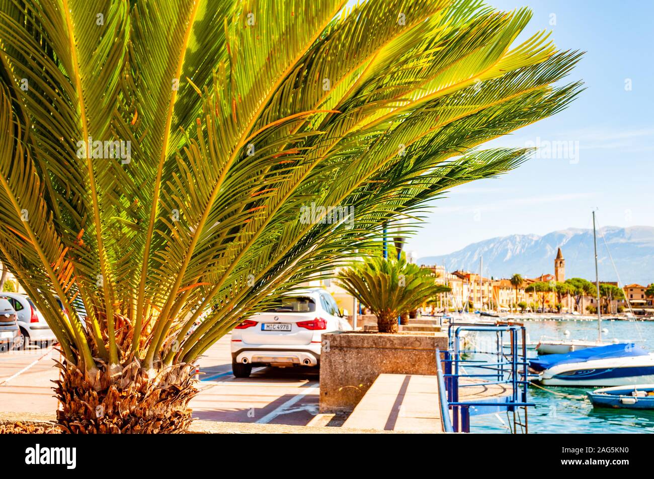 Toscolano Maderno, Lombardy, Italy - September 12, 2019: View on medieval Toscolano Maderno cityscape through palm leaves growing on promenade and pie Stock Photo