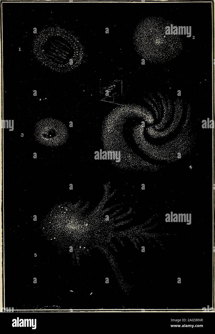 Elements Of Theoretical And Descriptive Astronomy For The Use Of Colleges And Academies La Rigel Procyon And Spica Are Blue Sirius Vega And Altair Are Green And Arcturus Is Yellow The Components Of Elements Of Theoretical And Descriptive Astronomy For The Use Of Colleges And Academies La Rigel Procyon And Spica Are Blue Sirius Vega And Altair Are Green And Arcturus Is Yellow The Components Of
