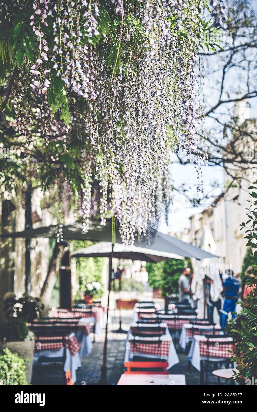 Vertical shot of a wisteria plant growing in the bystreet with a cafe in Aigues Mortes, France Stock Photo