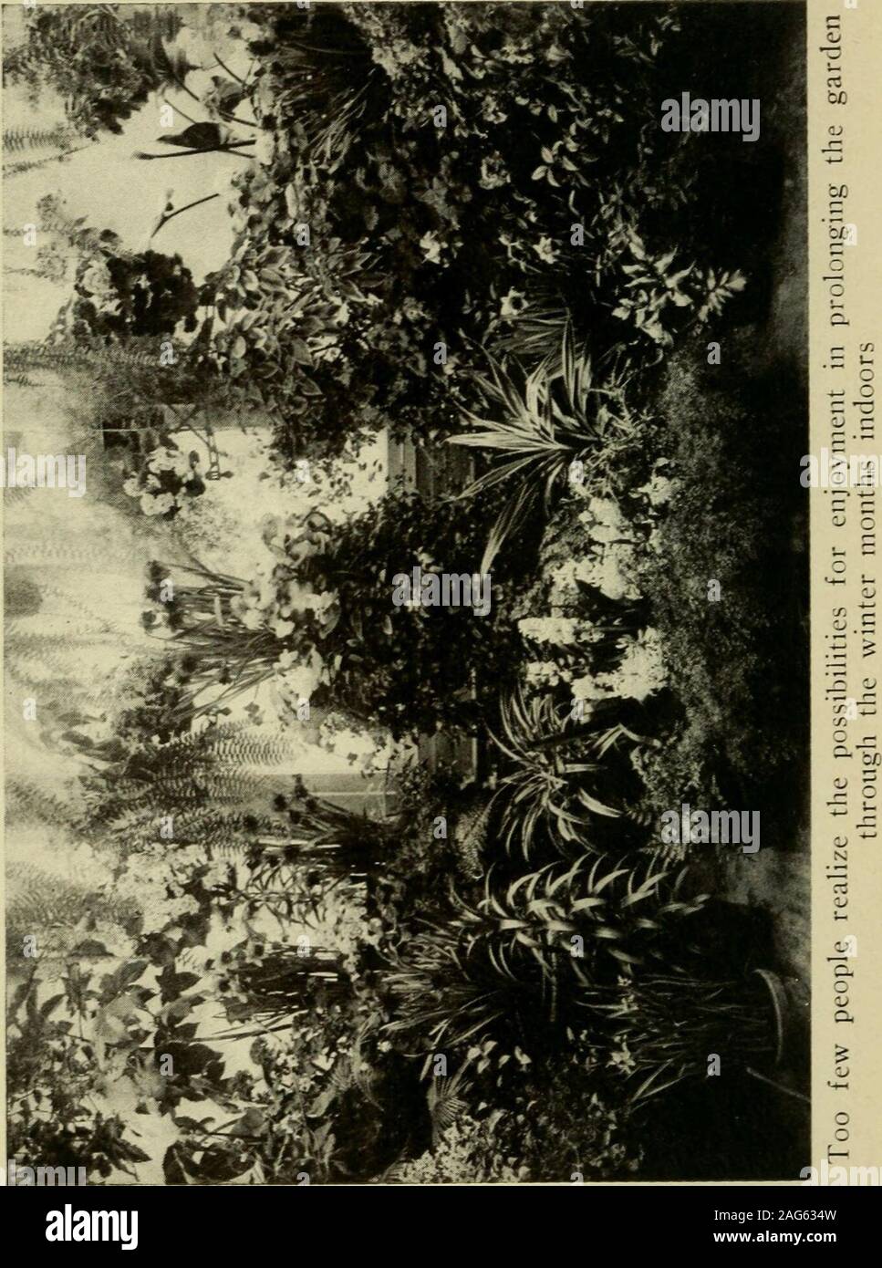 . Gardening indoors and under glass; a practical guide to the planting, care and propagation of house plants, and to the construction and management of hotbed, cold-frame and small greenhouse. 78. Reinwardtia, 78. Roses, 78-188. Swainsona, 79. Sweet olive, 79.Slips, preparation of, 29.Smilax, 94.Snapdragon, 64.Soil, ingredients, 141.Soil, for greenhouses, 173.Soil, for pots and boxes, 14. 210 INDEX Sphagnum moss, 141.Spirea, 126.Steria, 68.Stocks, 69. Sub-watering, 24, 142.Swainsona, 79.Sweet olive, 79.Sweet peas, 95. Temperature, for plants, in-doors, II, 45. Temperature, for green-houses, 17 Stock Photo