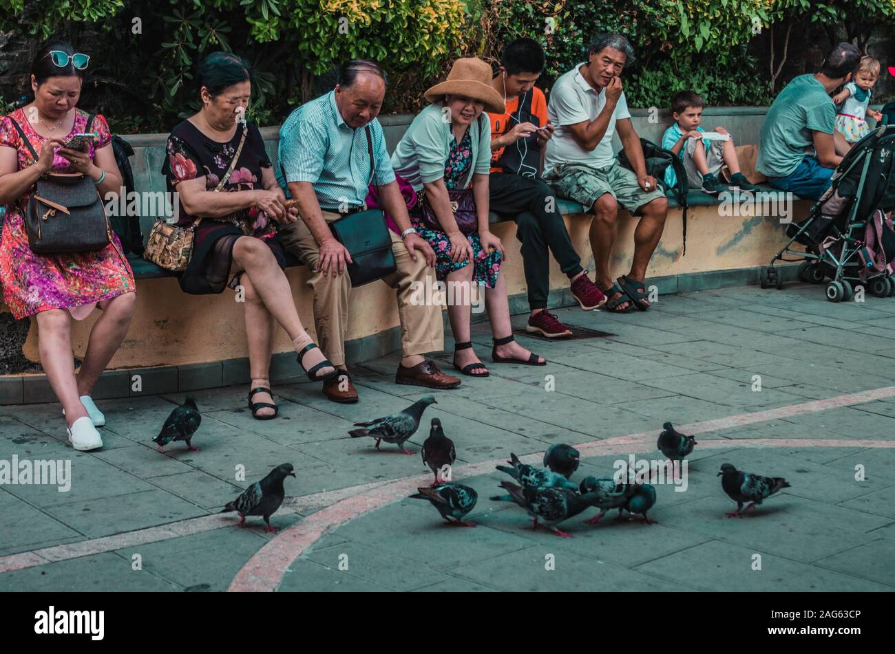 CINQUE TERRE, ITALY - Aug 10, 2018: Japanese people and birds at five earth in Italy Stock Photo