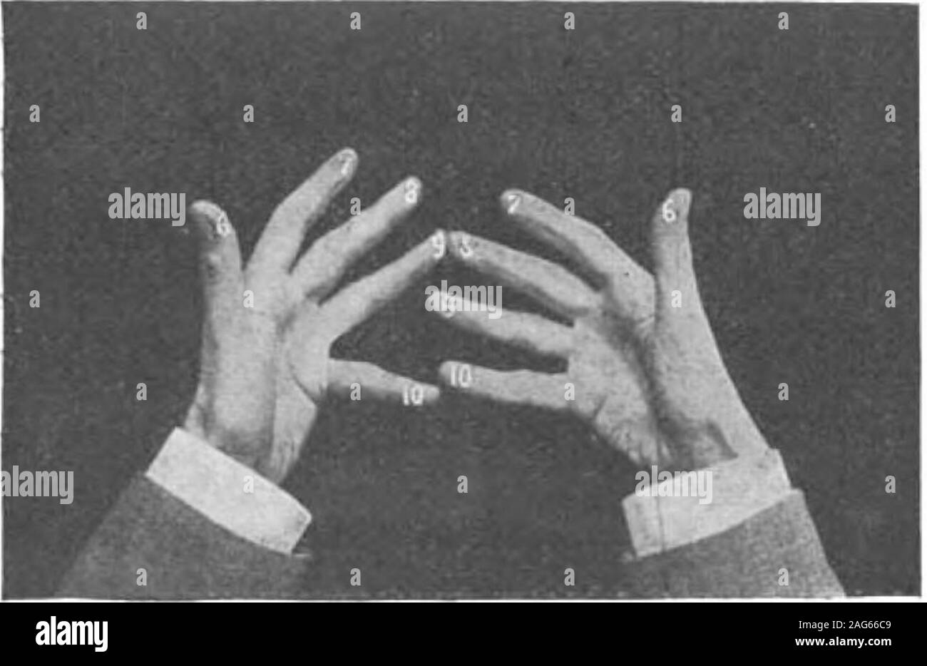 . Scientific American Volume 79 Number 17 (October 1898). and the ...