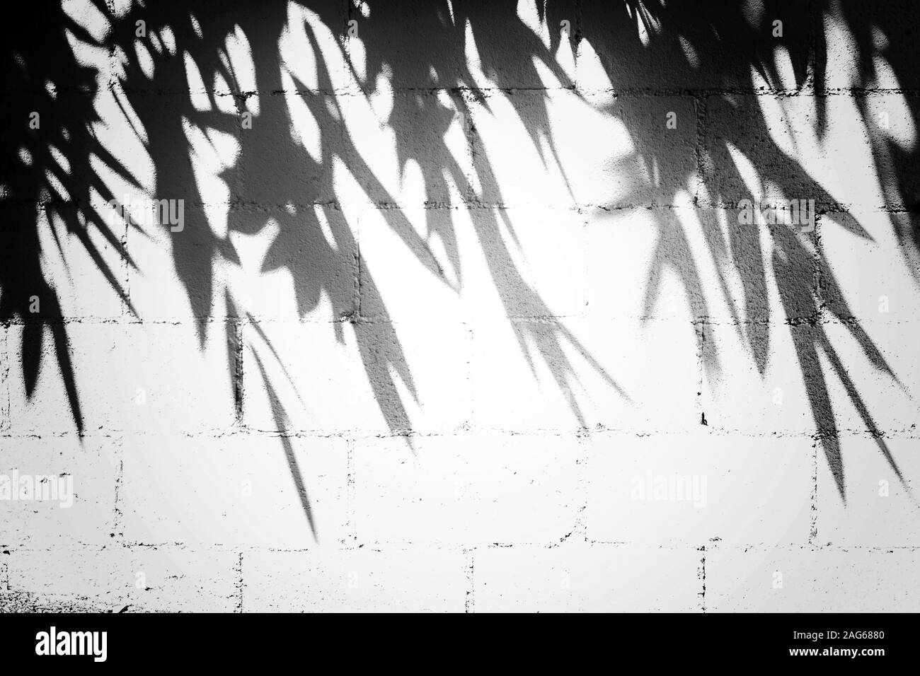 Hollow blocks wall with tree leaves shadows great for a cool