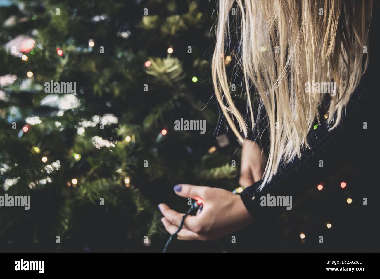 Blonde female with black sweater decorating the Christmas tree with string lights Stock Photo