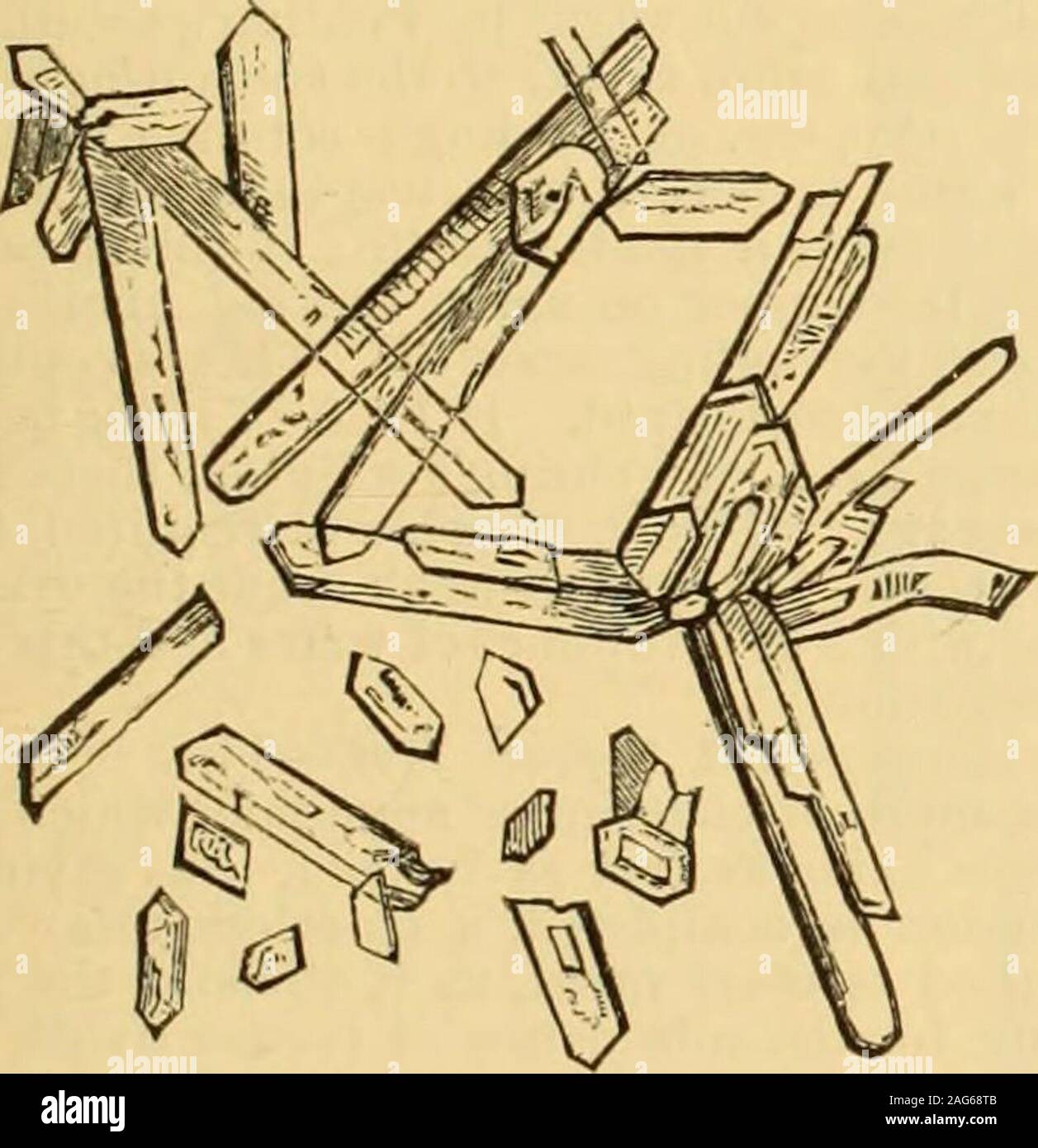 Presence absence test hi-res stock photography and images - Alamy