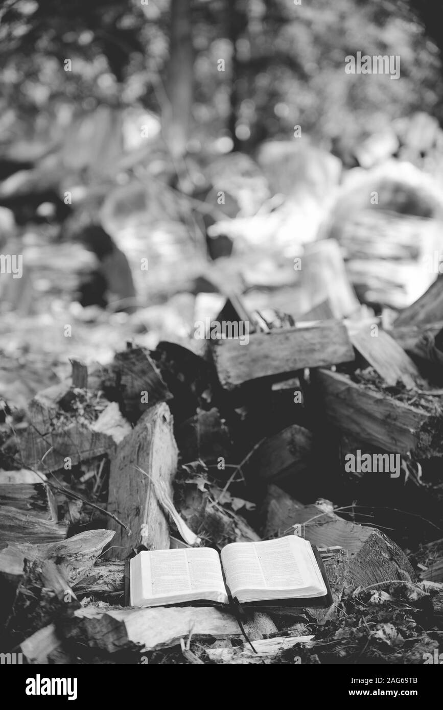 Vertical grayscale shot of an open bible near broken trees on the ground with a blurred background Stock Photo