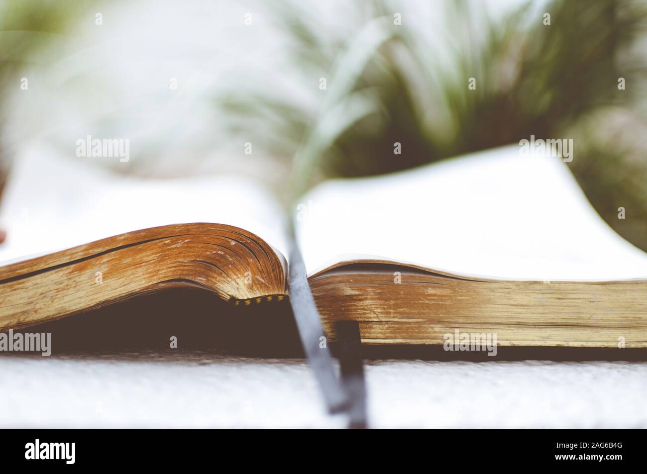 Closeup shot of an old open bible with a blurred background Stock Photo ...