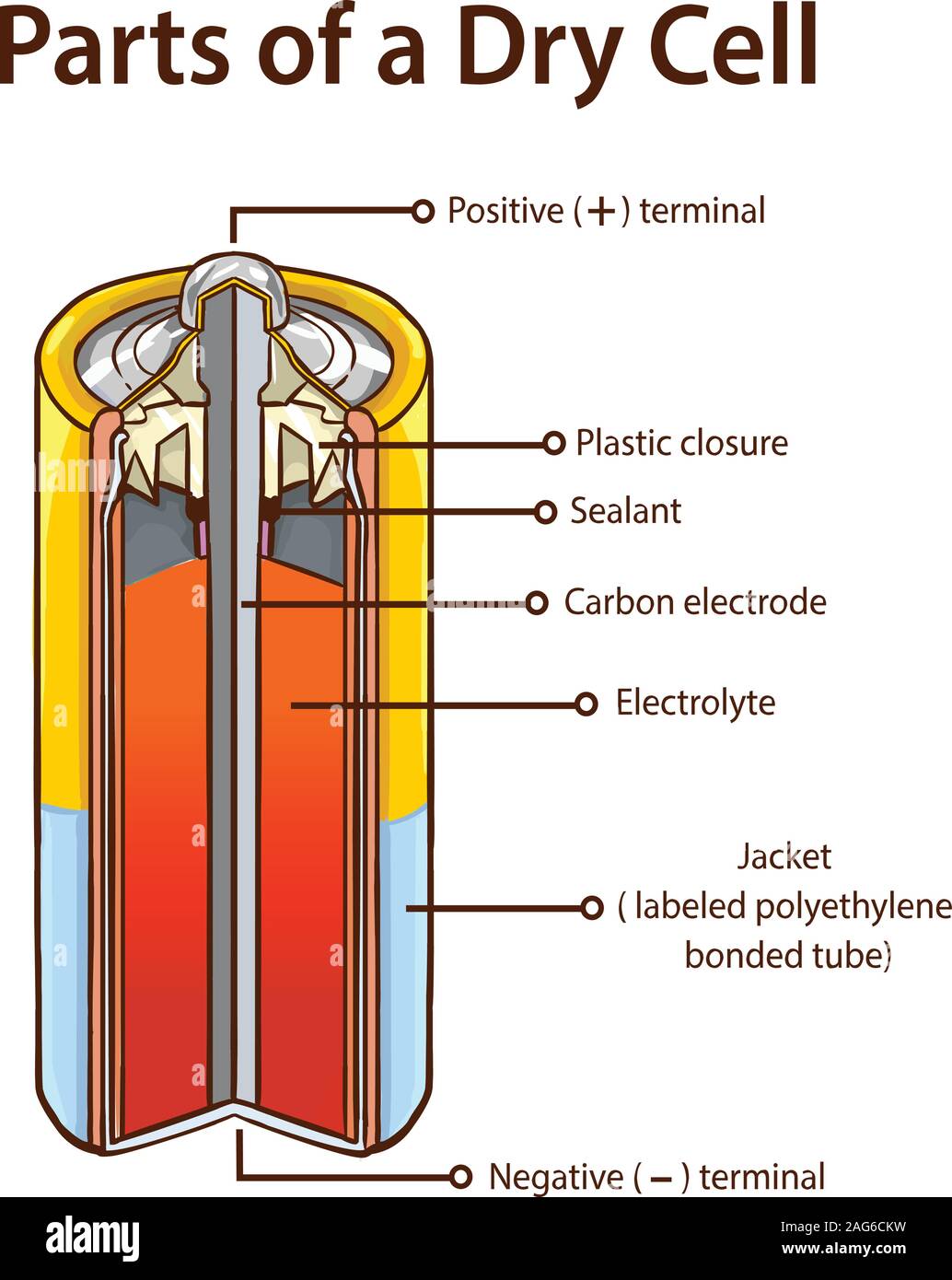 first dry cell battery