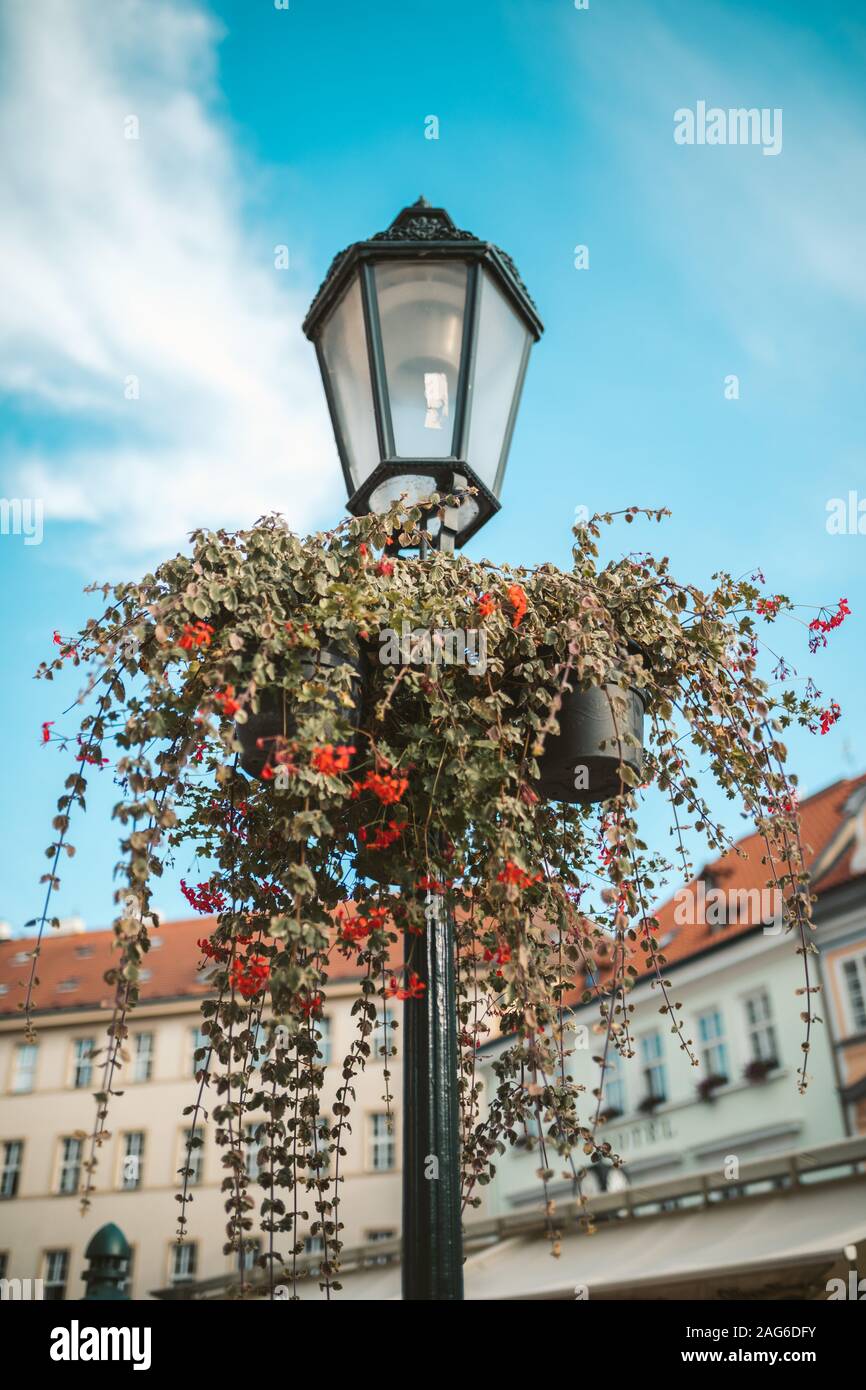 A Vertical Low Angle Shot Of A Street Light With Hanging Green