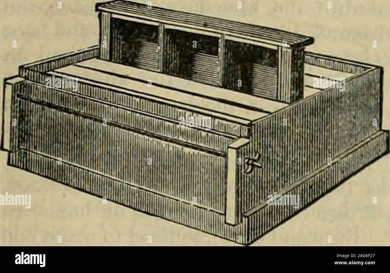 . The American farmer. A complete agricultural library, with useful facts for the household, devoted to farming in all its departments and details. LANQ8TR0TH HTVE. IMPROVED LANGSTROTH HIVE. walled and can be packed with chaff or other material. The walls at C are If inches thick,BO that colonies packed at two sides, bottom and top, are well protected against cold. Or ifdesired, the brood frames can be turned half-way around and thus chaff can be packed onall sides. BEES.. 895 The Langstroth hives consist of a series of movable frames for comb, so arranged thatany one of them may be separately Stock Photo