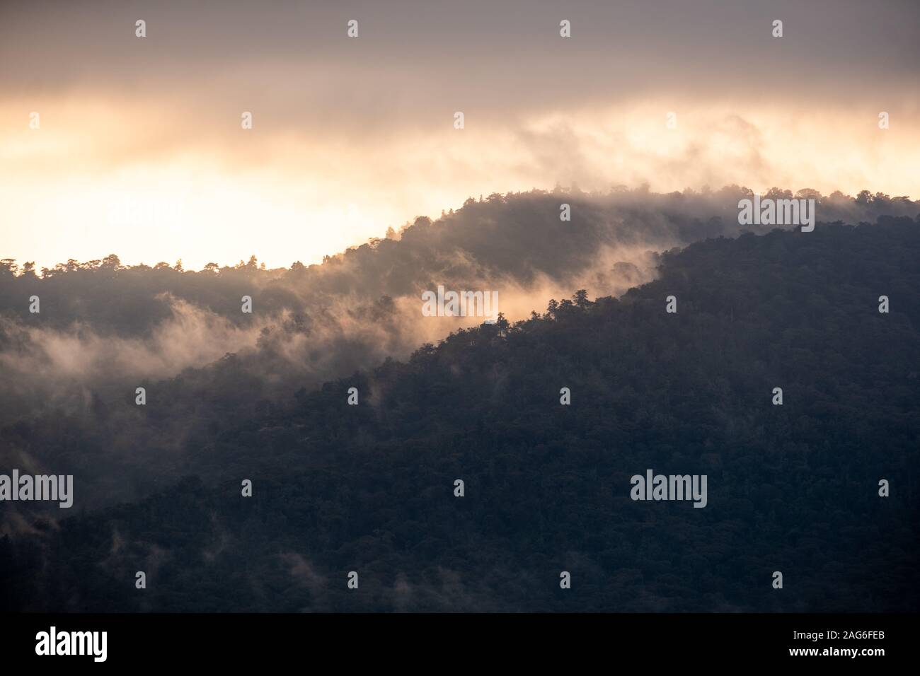 Breathtaking view of the foggy tree covered mountains captured in Kenya, Nairobi, Samburu Stock