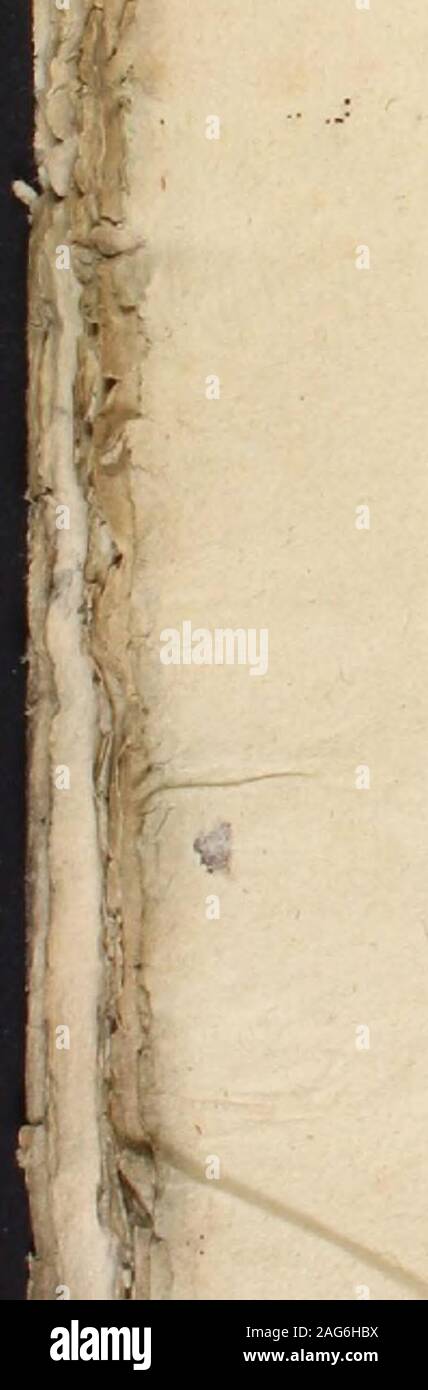 Jouir High Resolution Stock Photography And Images - Alamy