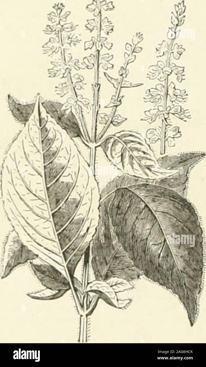 . The American encyclopædia of commerce, manufactures, commercial law, and finance. the savings of operatives thanas cooperative societies. The co-operative idea,as would probably be held by its most stanchpropoiinders, requires identity of purpose and in-terest, with community of advantages and risks,though not necessarily absolute equality or uni-formity of individual relation, among the cooper-atives. When the association passes into a mereinvestment and trading company, the idea wouldseem to be lost. Down to this <lay the C. systemhas not been received with marked favor in theU. States. Stock Photo