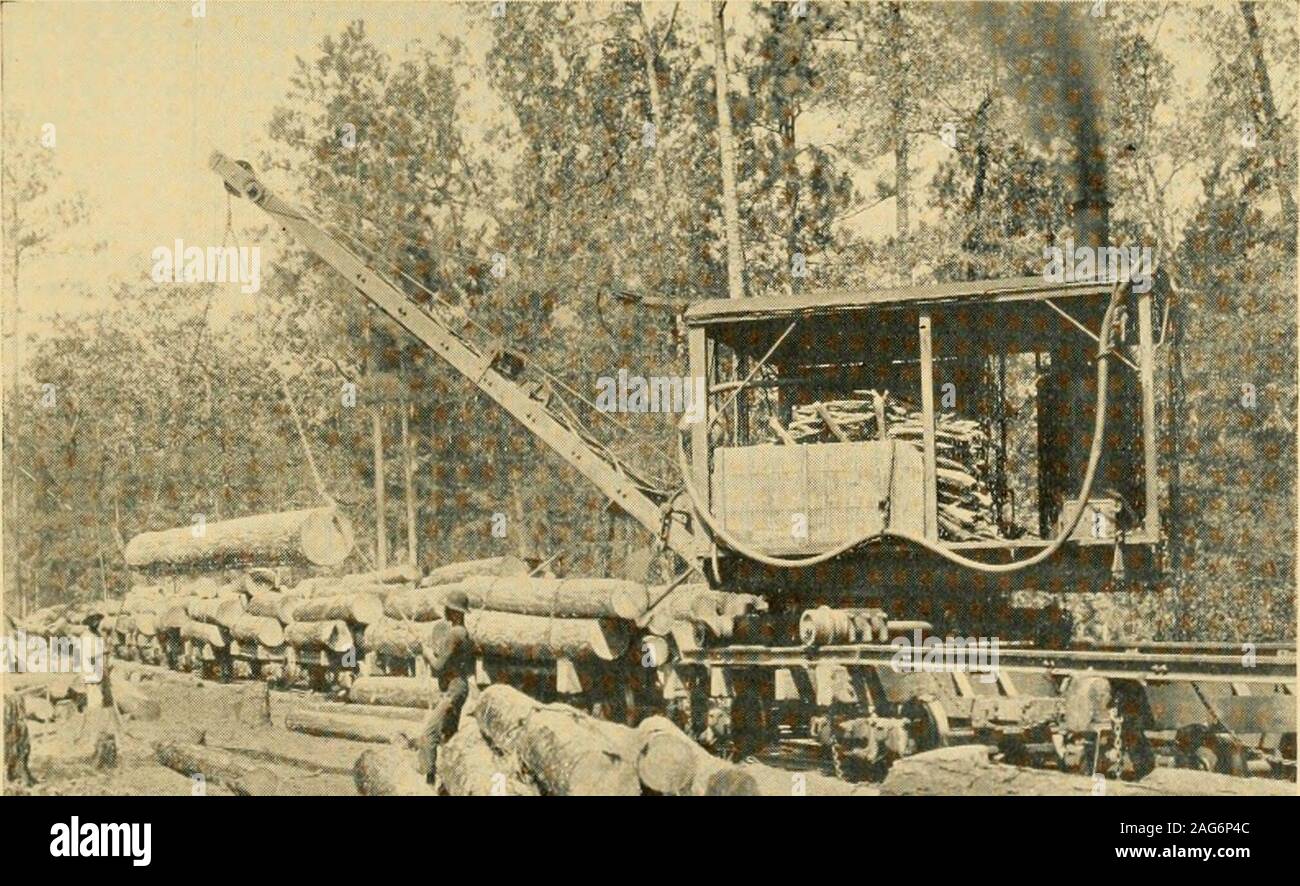 . Louisiana and Arkansas railway; its territory industries and financial condition ... HAULING LOGS TO LOADER in which strength is required and large quantities are usedin bridge building. Lumbering operations on an importantscale throughout this region are of comparatively recentdate, although far-seeing lumbermen of the North have. C^i^^S- ?t^KKSSSSS Stock Photo