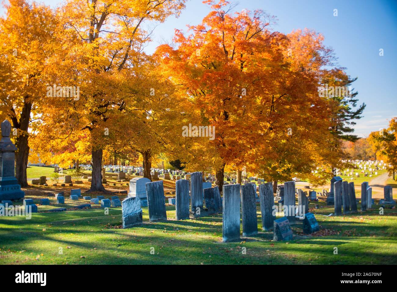 Beautiful shot of a cemetery with gorgeous trees in autumn on a sunny day Stock Photo