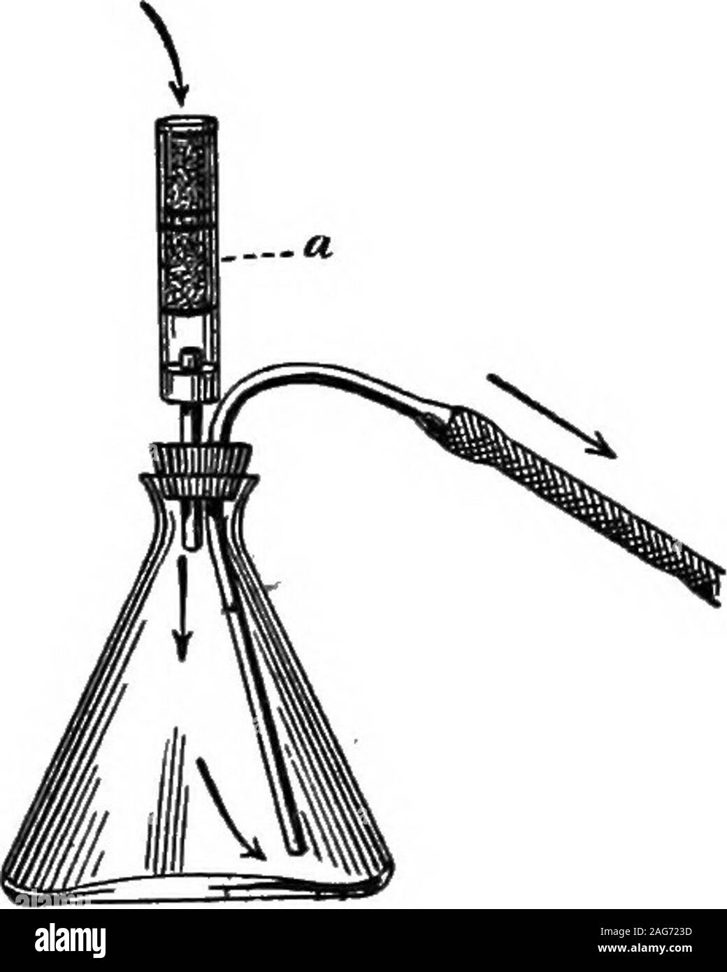Porous media Cut Out Stock Images & Pictures Alamy