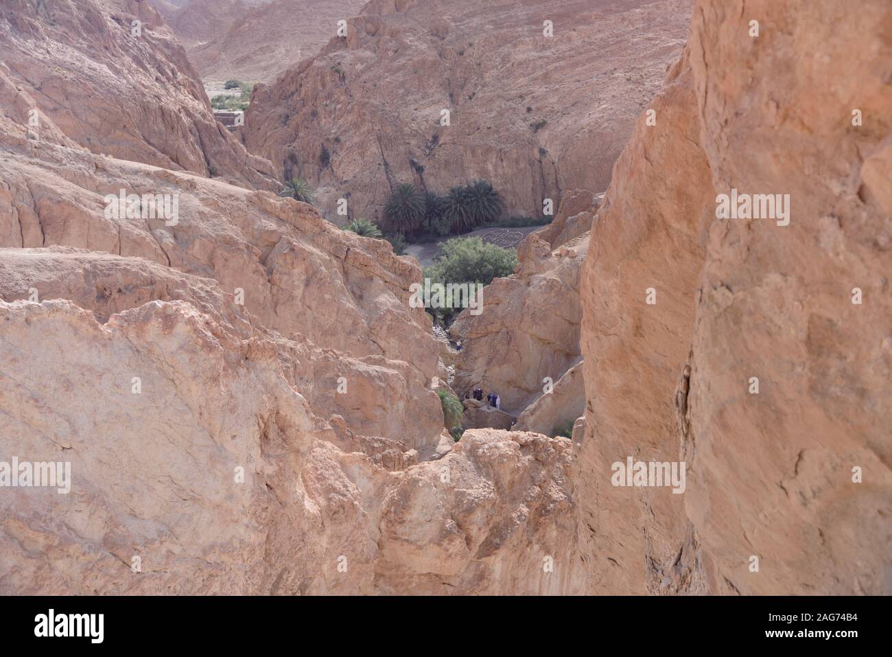 View mountain oasis chebika waterfall hi-res stock photography and ...