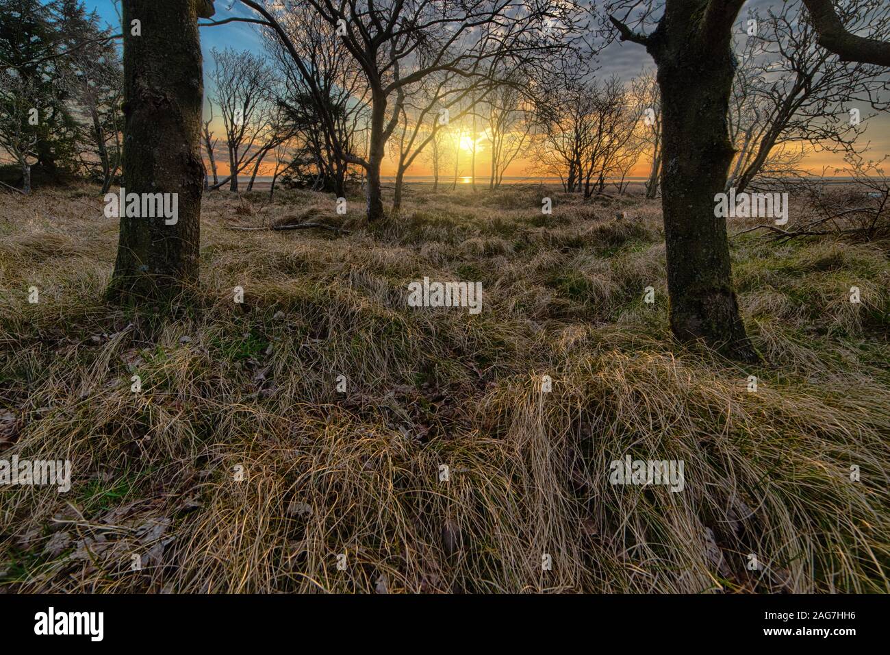 Low rising orange sun hi-res stock photography and images - Alamy