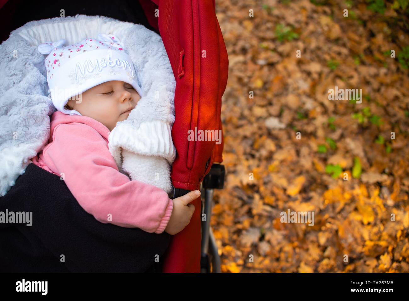Adorable baby girl outside in red stroller sleeps in autumn sunny day. Autumn leafs on the ground background. Stock Photo