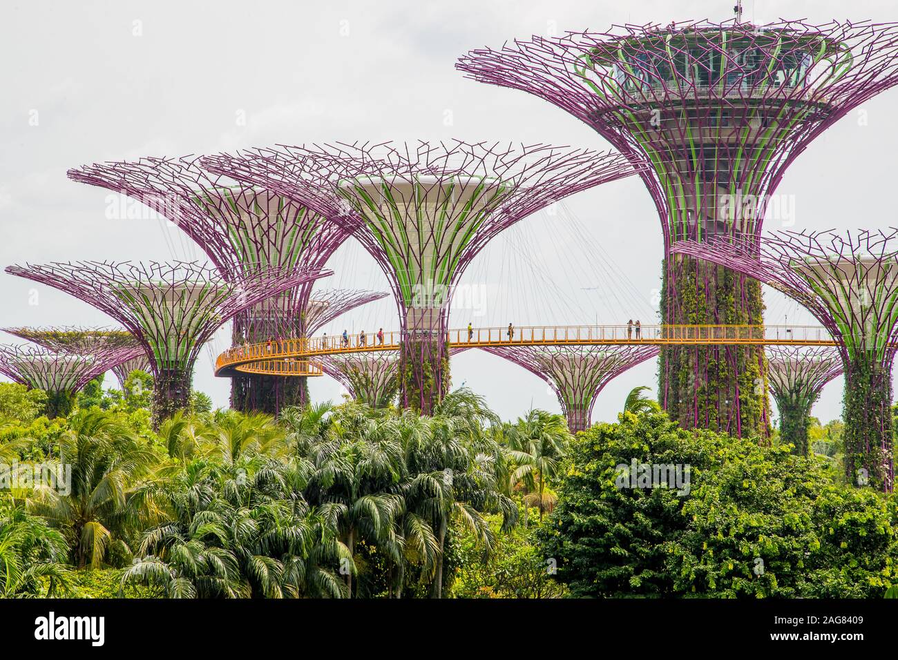 The Supertree Grove at Gardens by the Bay nature park, Singapore Stock ...