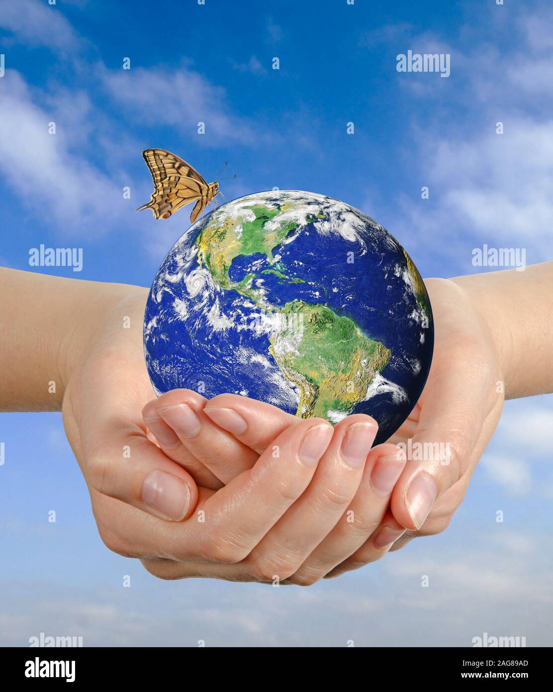 Butterfly sitting on Earth.Elements of this image furnished by NASA ...