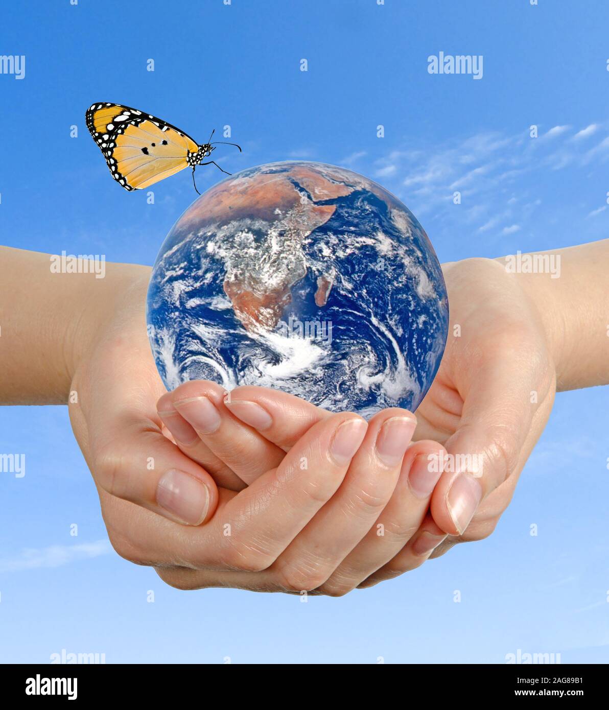 Butterfly sitting on Earth.Elements of this image furnished by NASA ...