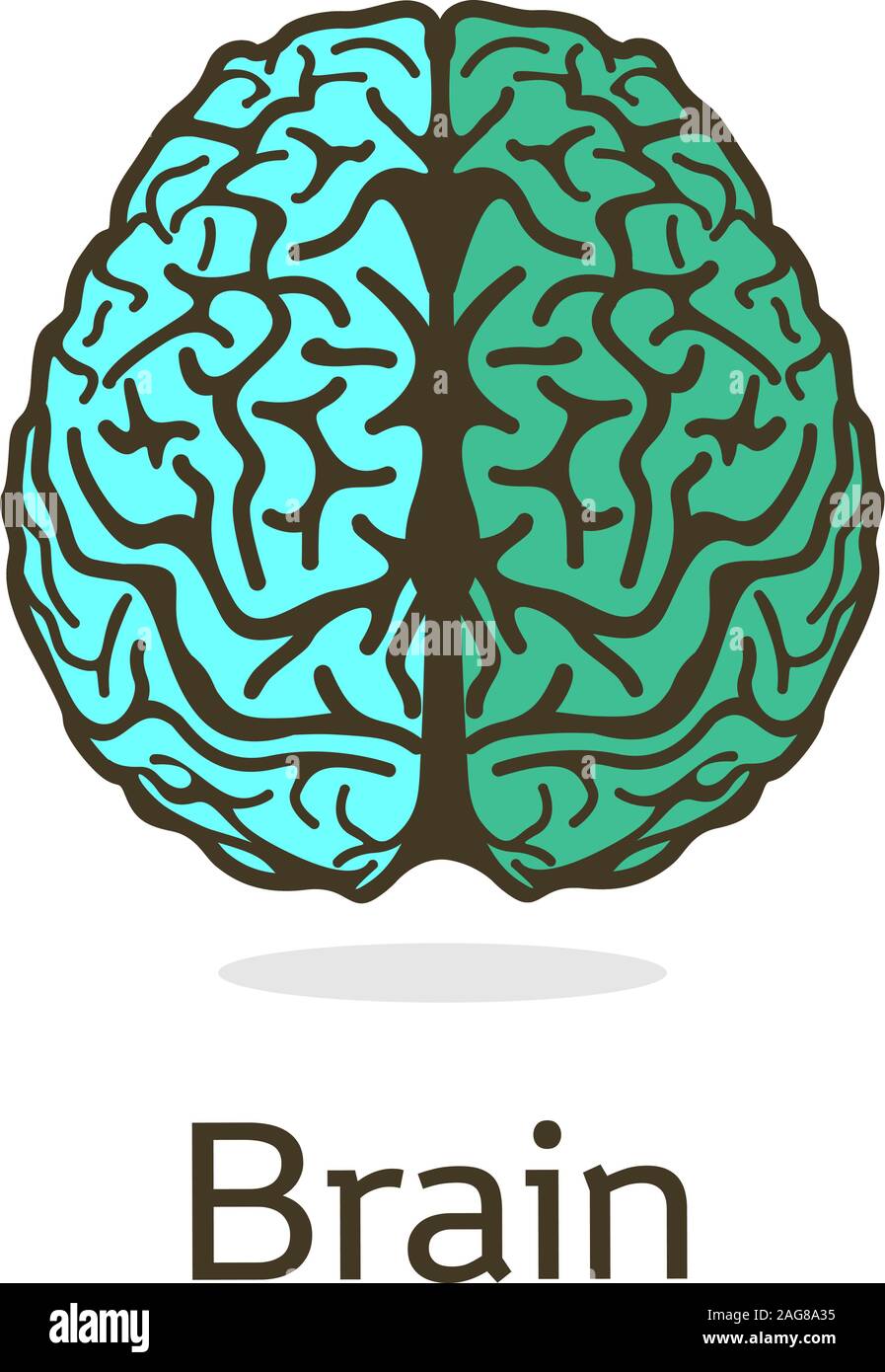 Unusual vector illustration depicting gyrus and divisions of the human brain. The mind and the mind of mankind. Isolated turuoise logo. Stock Vector