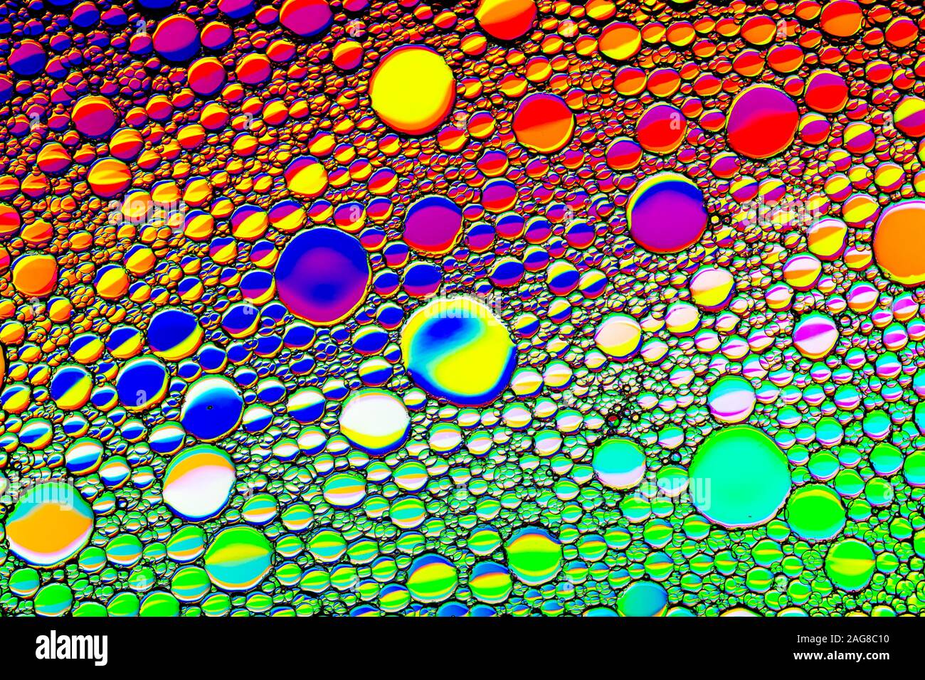 Top view on a colorful drops of oil on the water. Rainbow or spectrum ...