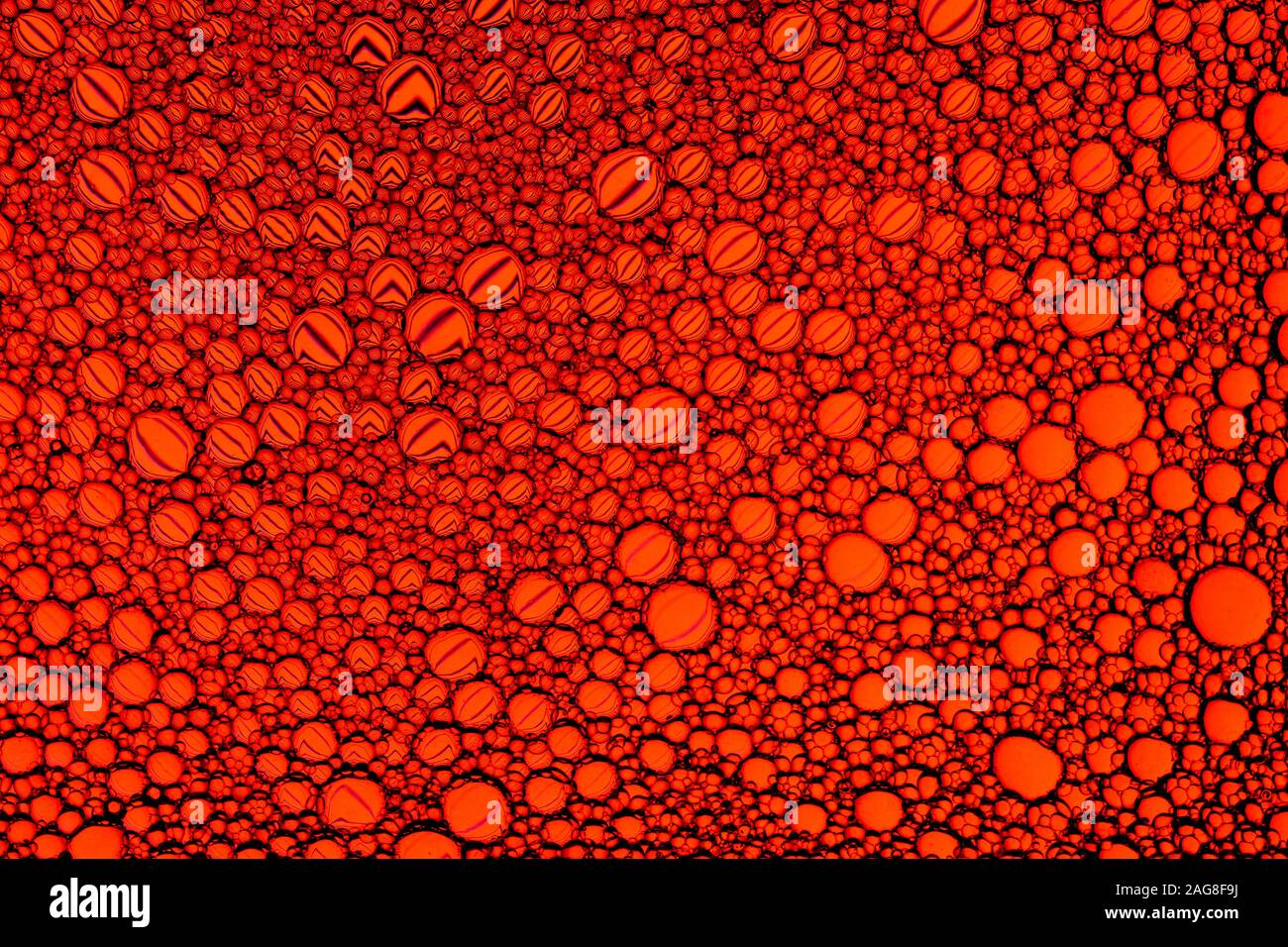 Top view on colorful drops of oil on the water. Circles and ovals. Abstract red background for design. Stock Photo