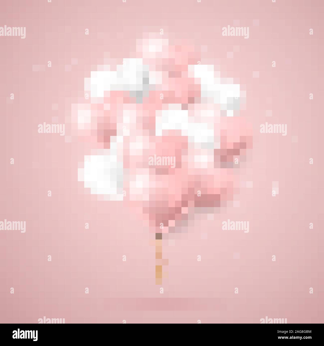 Happy Valentines Day background, flying bunch of pink and white helium ...
