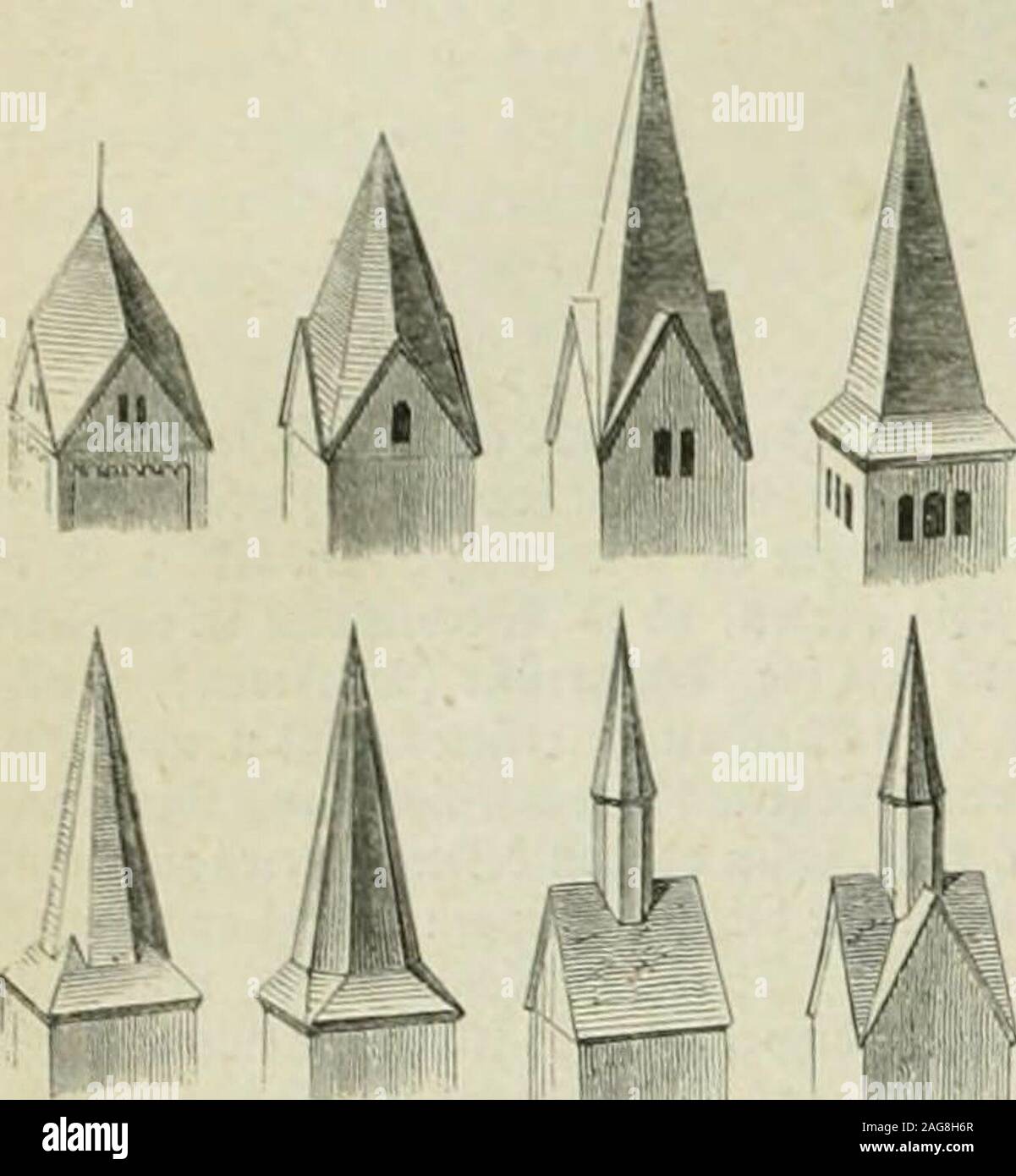 G Pictus Stock Photos G Pictus Stock Images Alamy