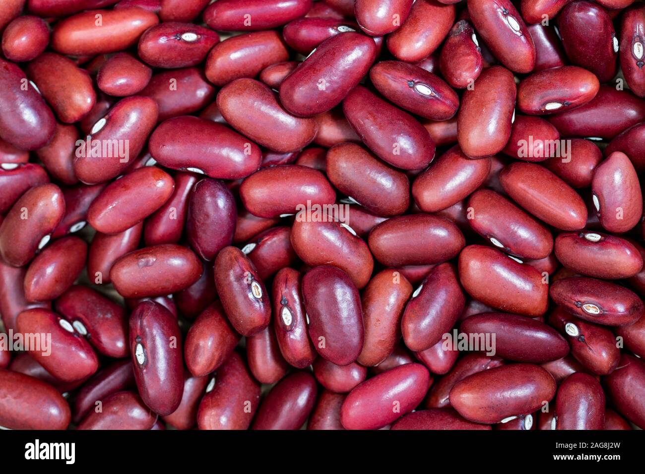 Red bean close-up. Spain Stock Photo