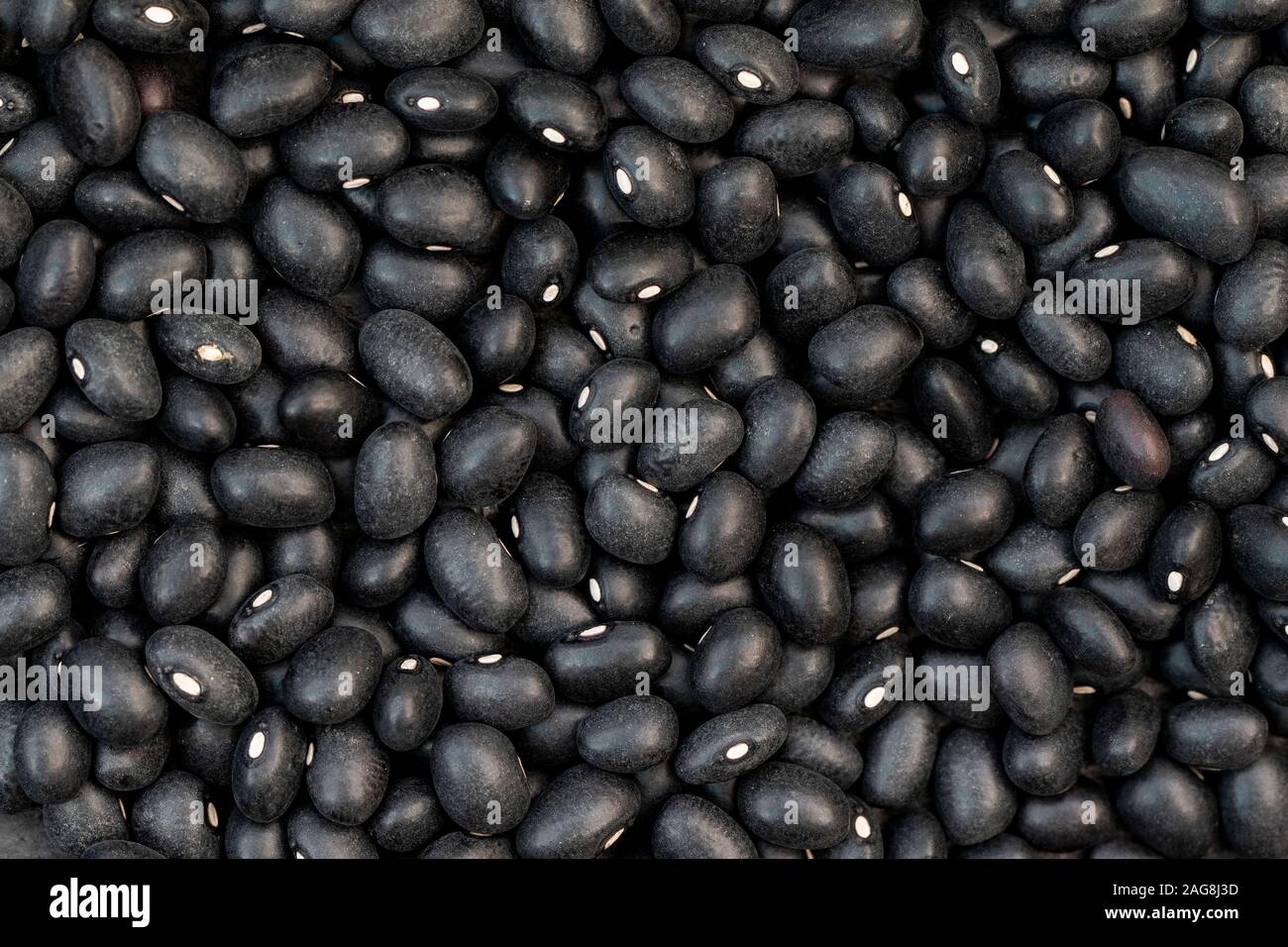 Close-up of black beans or Tolosa beans. Spain Stock Photo