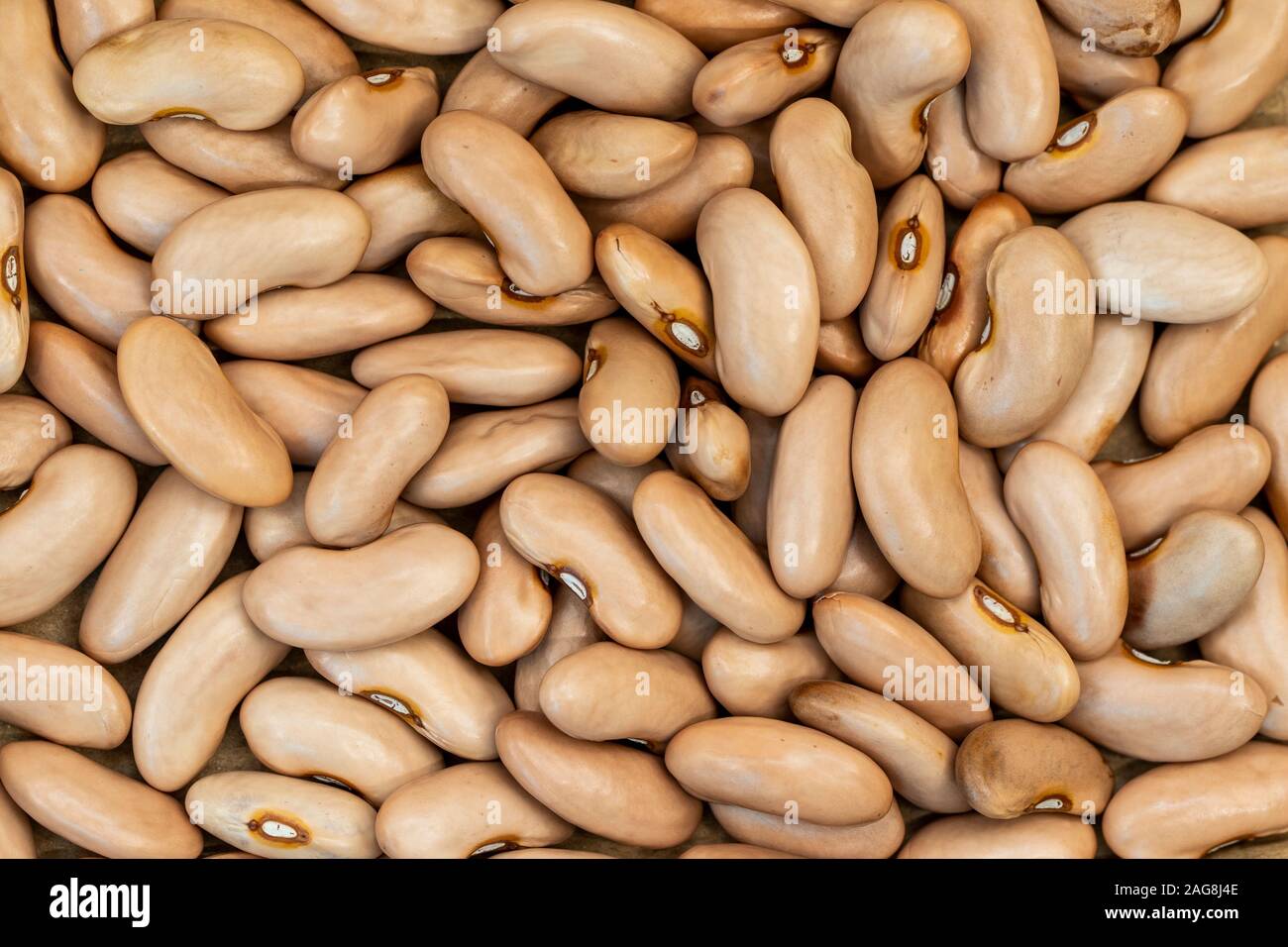 Close-up of brown beans or cinnamon beans. Spain Stock Photo
