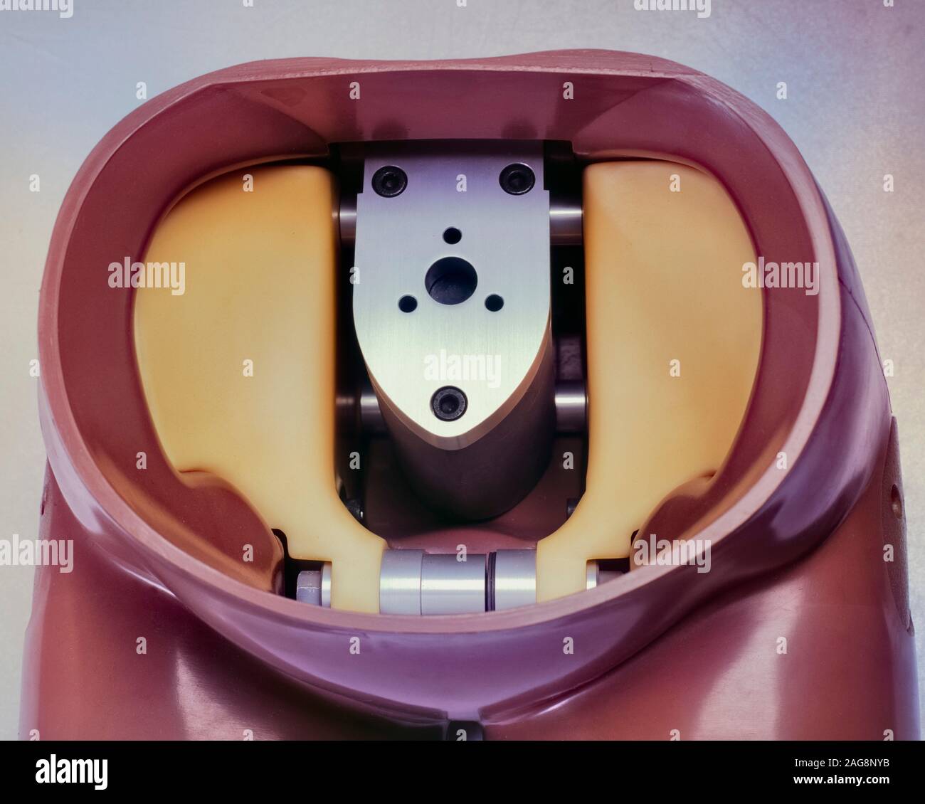 Interior of the lower 'abdomen' of a Eurosid crash test dummy Stock Photo