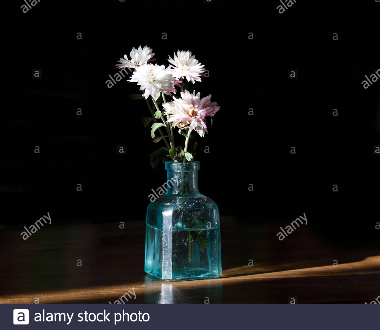 A Bouquet Of Chrysanthemums In An Old Glass Vase Illuminated By A