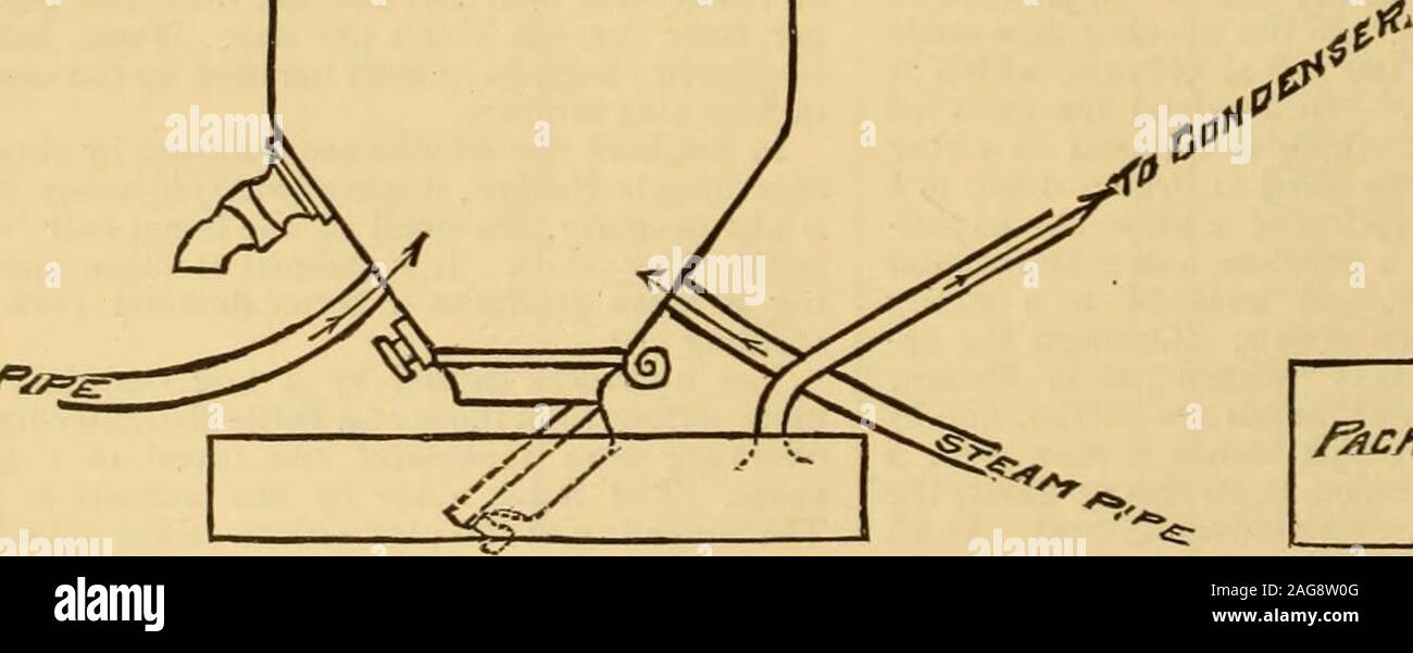 . A Reference handbook of the medical sciences : embracing the entire range of scientific and practical medicine and allied science. ieves that the slaughter-houses havebeen the chief foci of zymotic diseases. It is but just tosay that the experiences of both these gentlemen are con-fined to the badly built private slaughter-houses, in imme-diate connection with dwelling-houses, already spoken of.There is no evidence that the inhabitantsTiy^o^VO^y^g. in the neighborhood of well-constructed ^ and properly drained and sewered abat-toirs are any mor esubject to disease thana similar class of peop Stock Photo