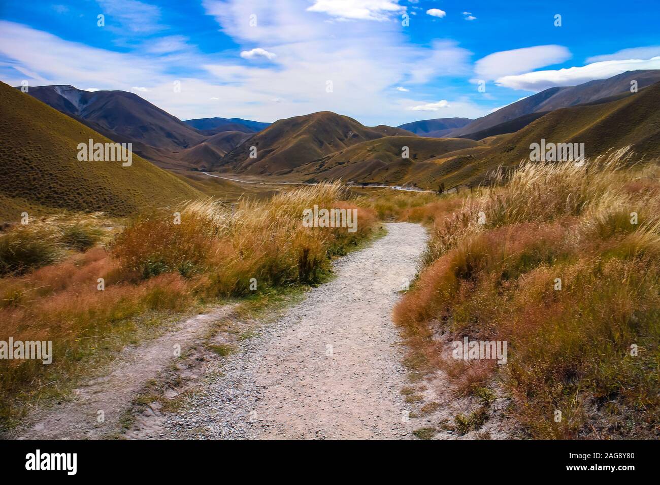 A footpath leads through a beautiful hilly landscape with dry vegetation under a blue sky, seen in Canterbury, New Zealand South Island. Stock Photo